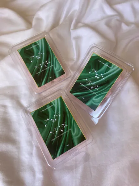 Wax Melts Aroma Folhas Verdes 30g